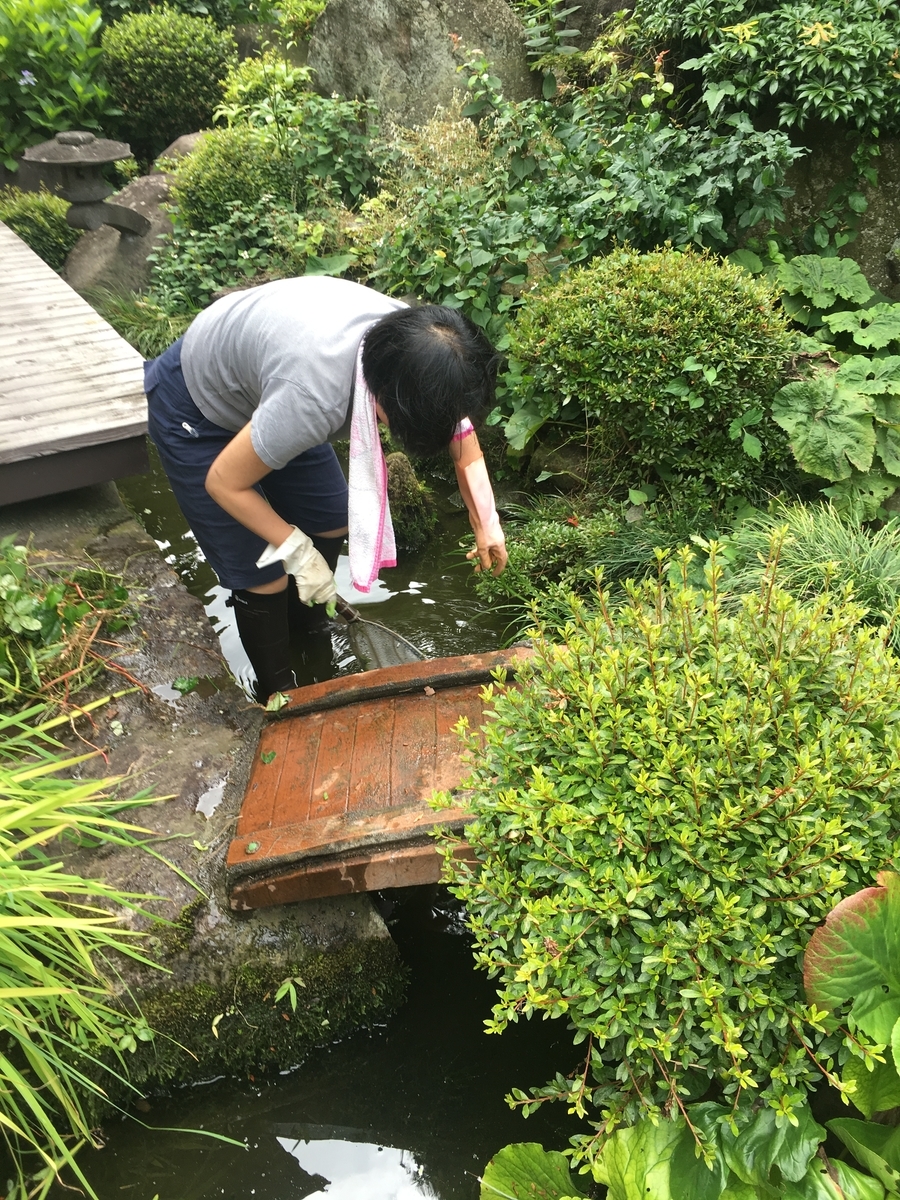 f:id:jdy00247:20190711172806j:plain 頑張っている妻の幸先生ですよー