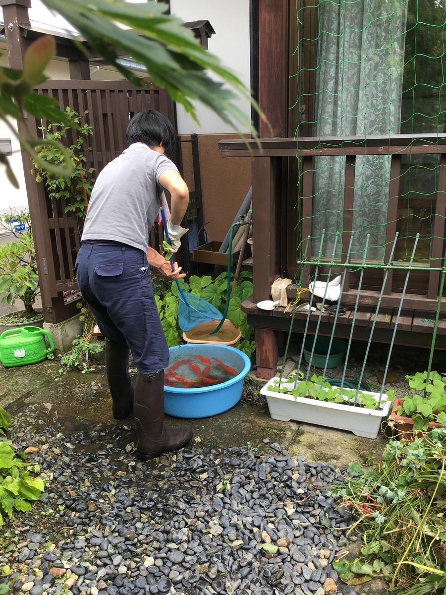 f:id:jdy00247:20190711173014j:plain f:id:jdy00247:20190711173014j:plain
