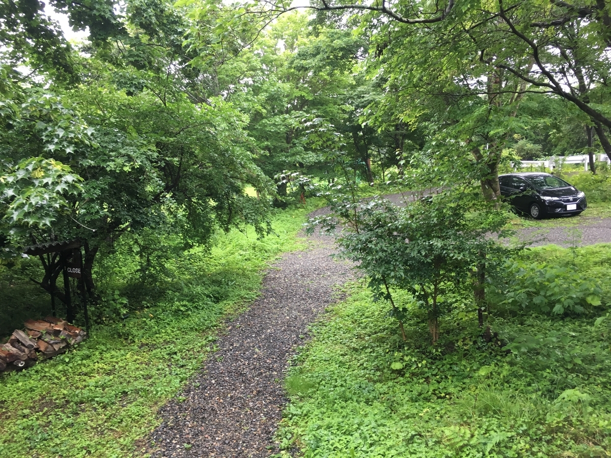 f:id:jdy00247:20190716114729j:plain 緑の景色