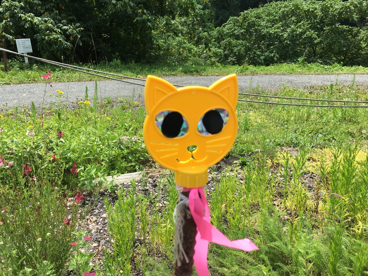 f:id:jdy00247:20190805163509j:plain f:id:jdy00247:20190805163509j:plain