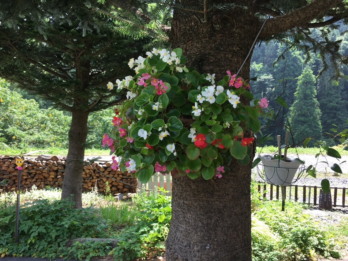 f:id:jdy00247:20190805171218j:plain f:id:jdy00247:20190805171218j:plain