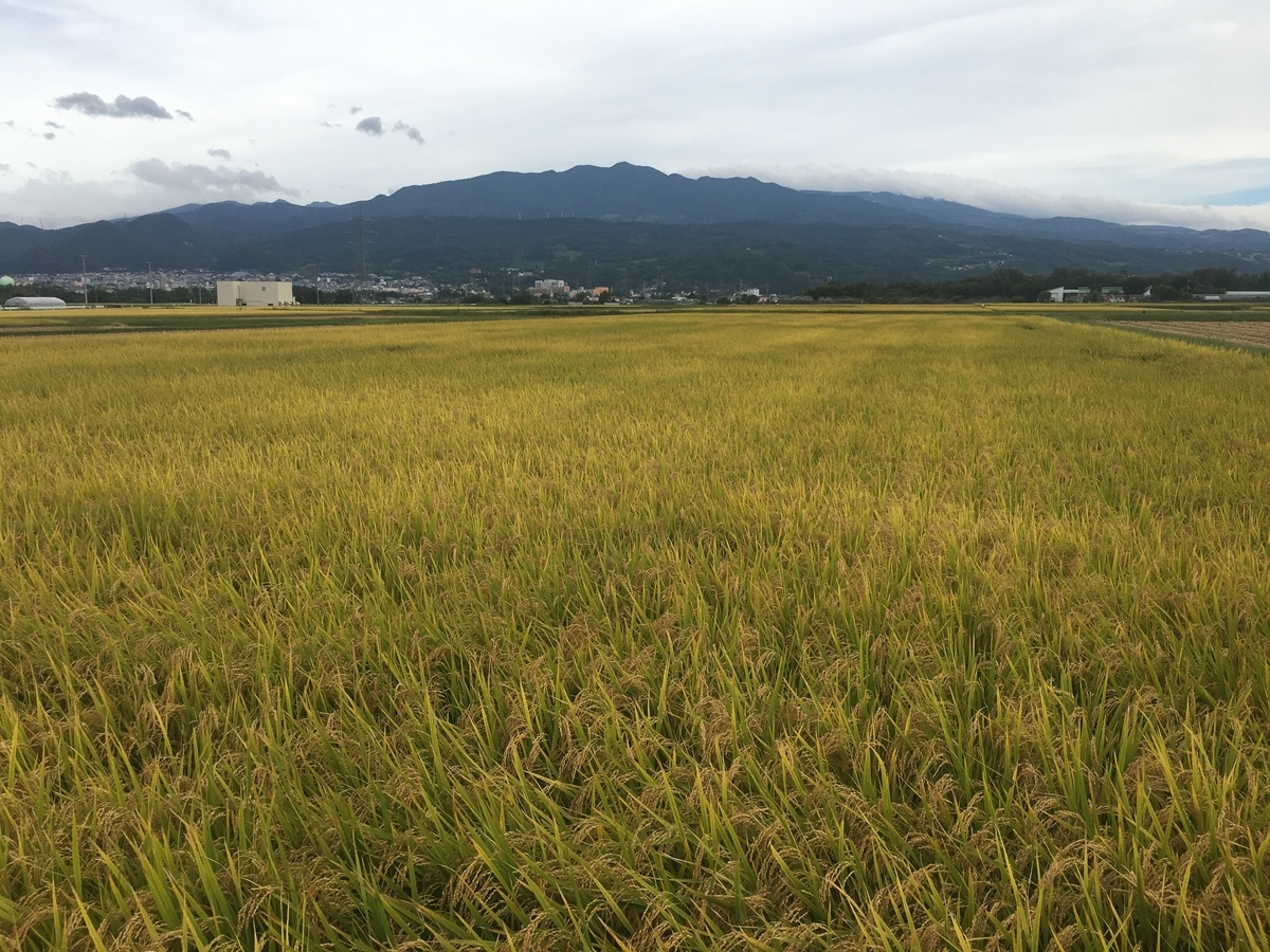 f:id:jdy00247:20190924110355j:plain 山形蔵王と田んぼ
