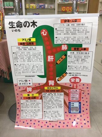 f:id:jdy00247:20190926225148j:plain f:id:jdy00247:20190926225148j:plain