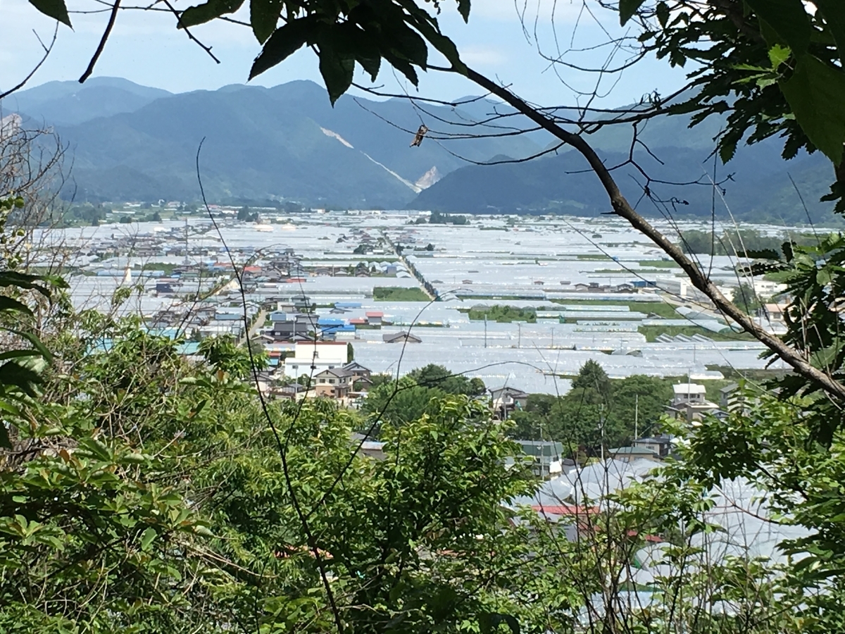 さくらんぼのテントハウス