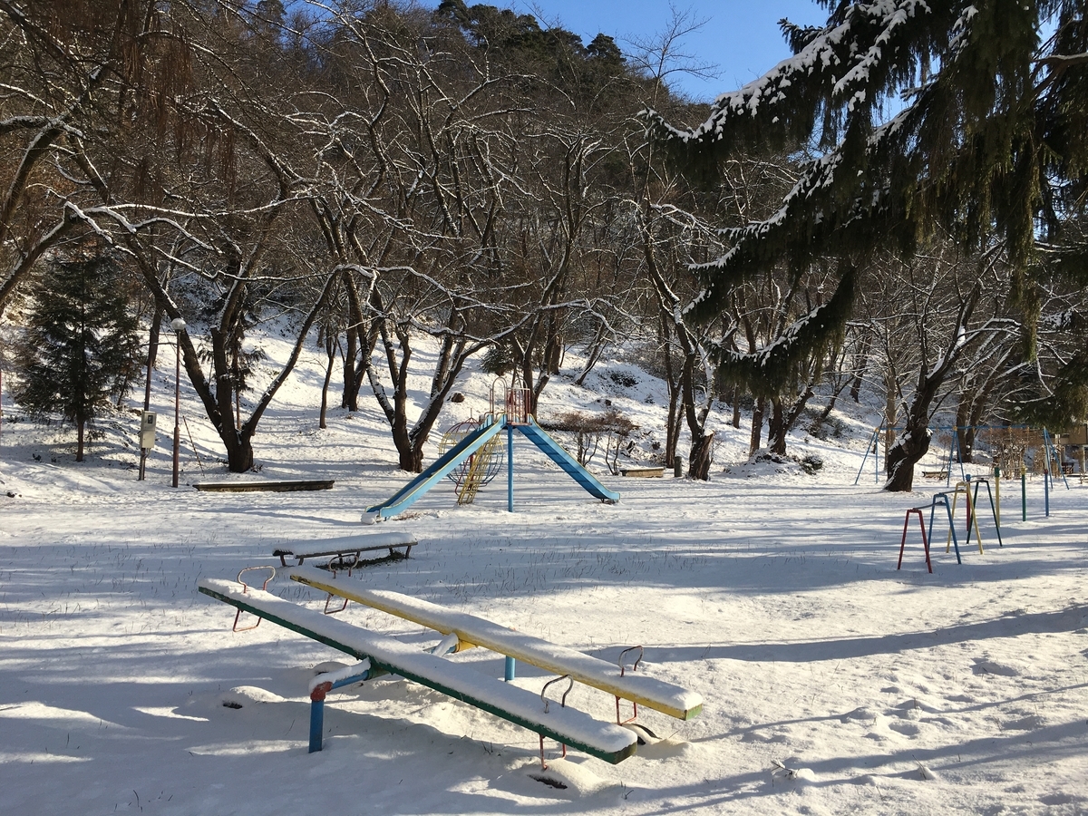 冬の若木山公園