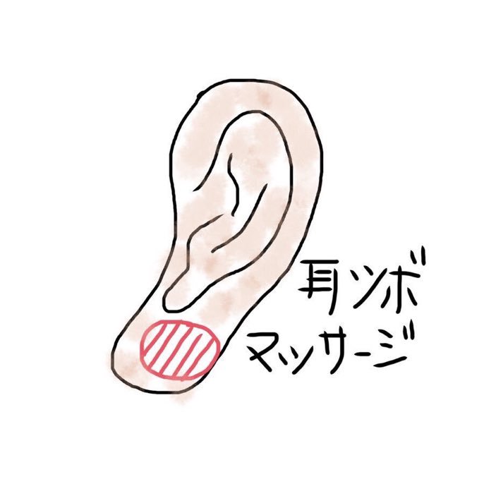 耳のイラスト