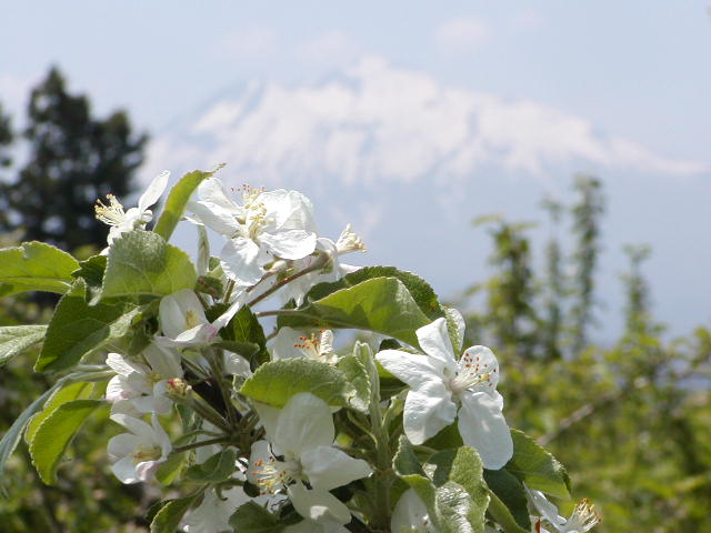 f:id:jdy00247:20200616122225j:plain f:id:jdy00247:20200616122225j:plain