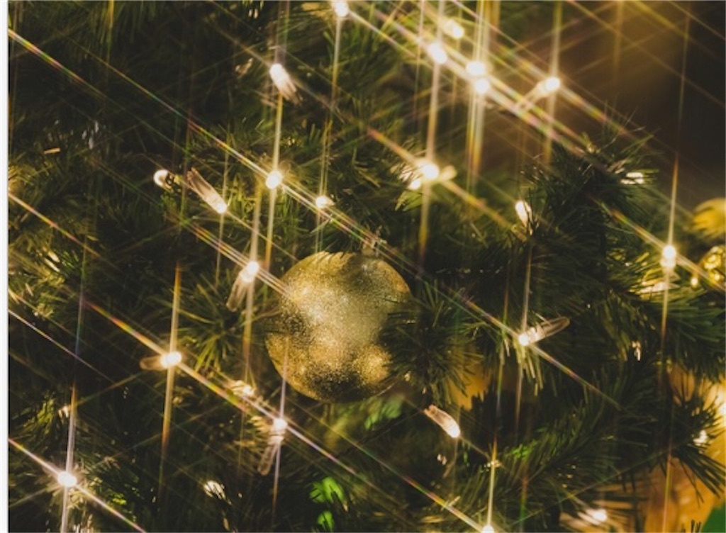 f:id:jeanne-lully:20201215030329j:image f:id:jeanne-lully:20201215030329j:image