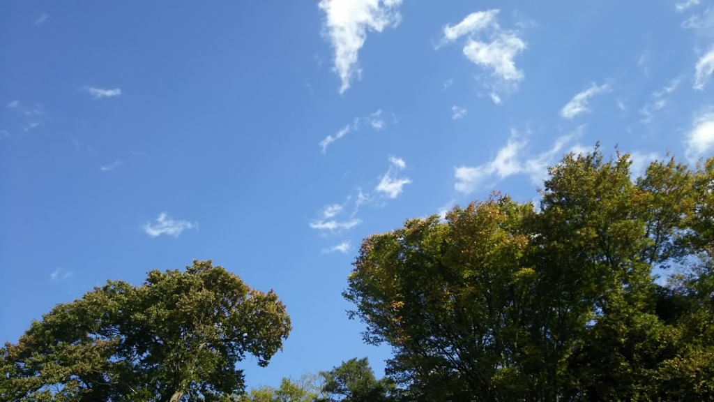 f:id:jeanrenon:20171111141952j:plain