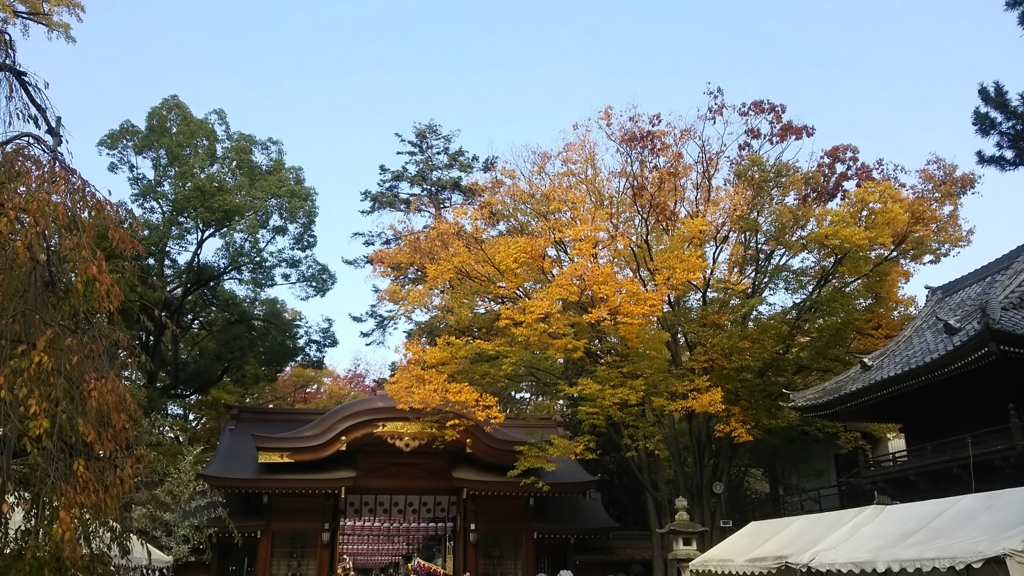f:id:jeanrenon:20171111142344j:plain
