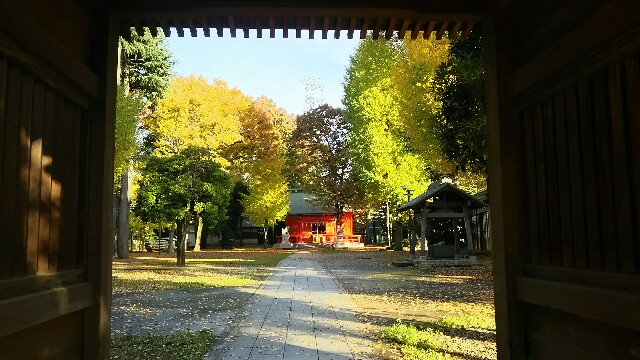 f:id:jeanrenon:20171124202046j:image