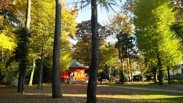 f:id:jeanrenon:20171124202101j:image