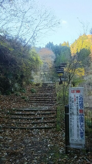 f:id:jeanrenon:20171126170141j:image