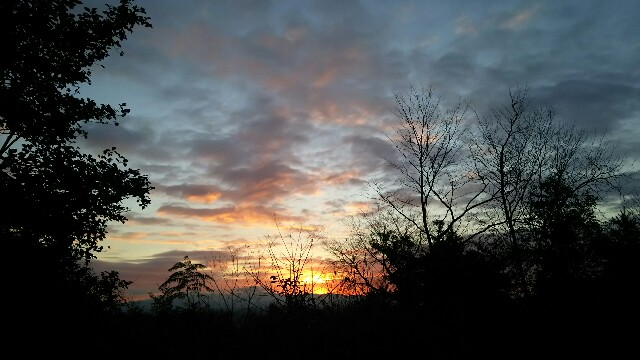 f:id:jeanrenon:20180120234254j:image f:id:jeanrenon:20180120234254j:image