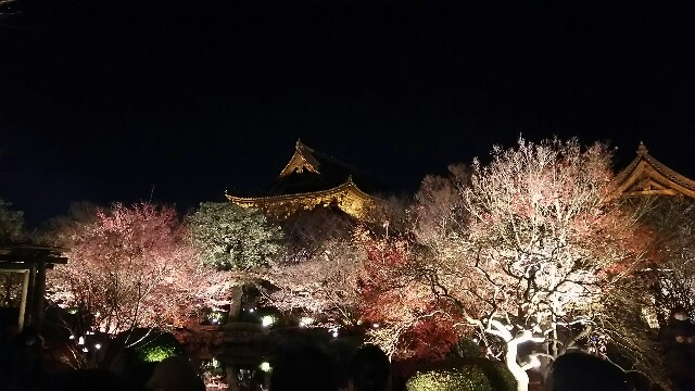 f:id:jeanrenon:20180121010200j:image