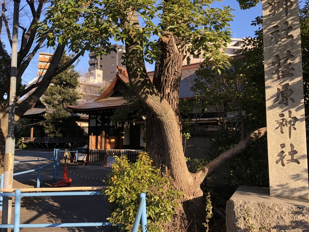f:id:jeanrenon:20180208221005j:plain