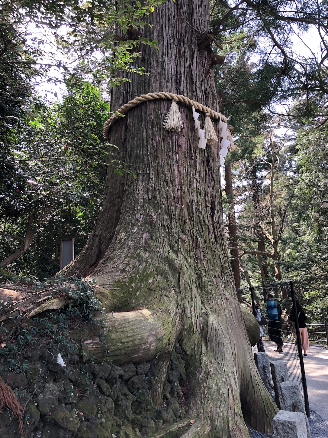 f:id:jeanrenon:20180401200353j:image f:id:jeanrenon:20180401200353j:image