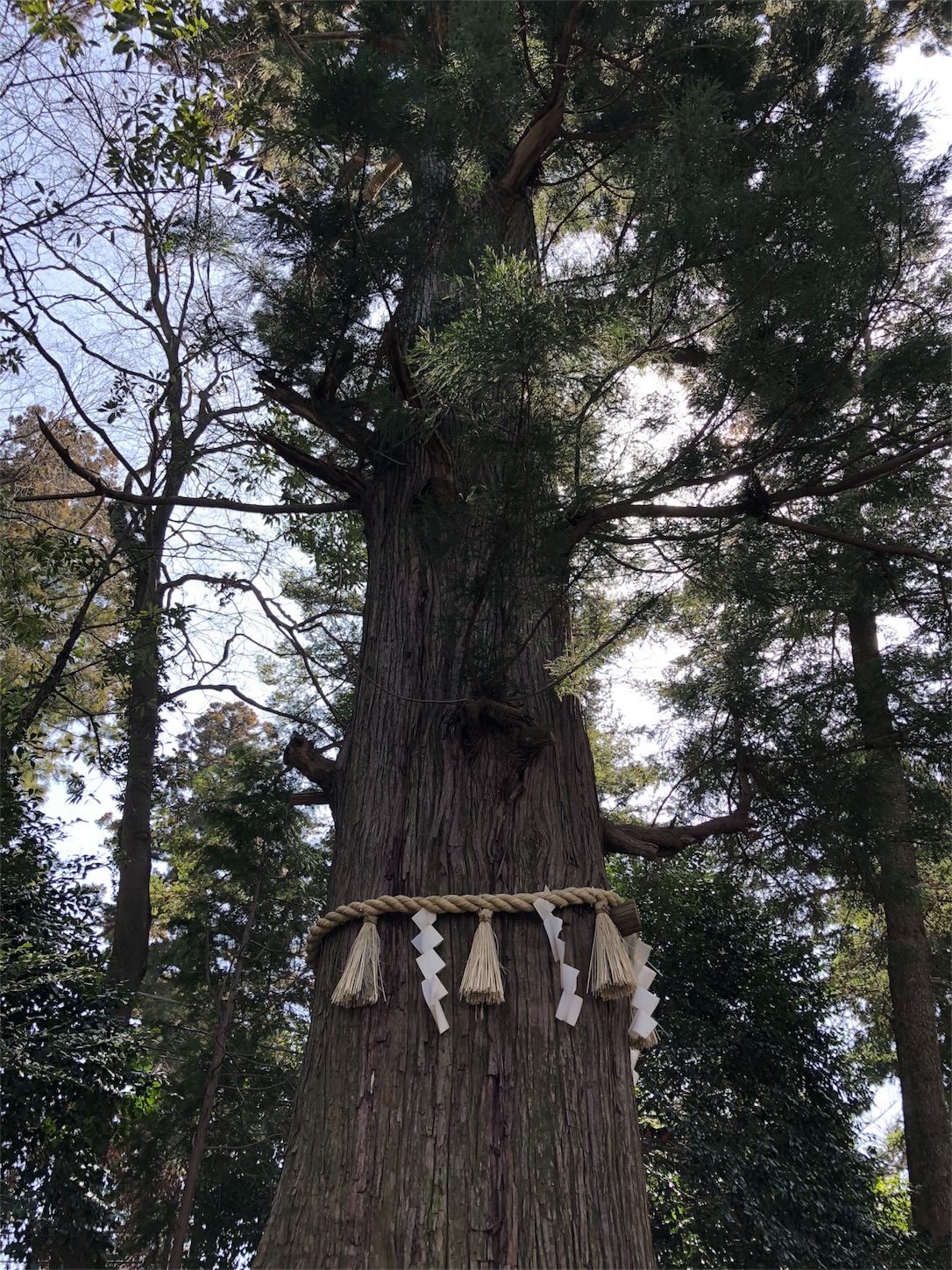 f:id:jeanrenon:20180401200658j:image f:id:jeanrenon:20180401200658j:image
