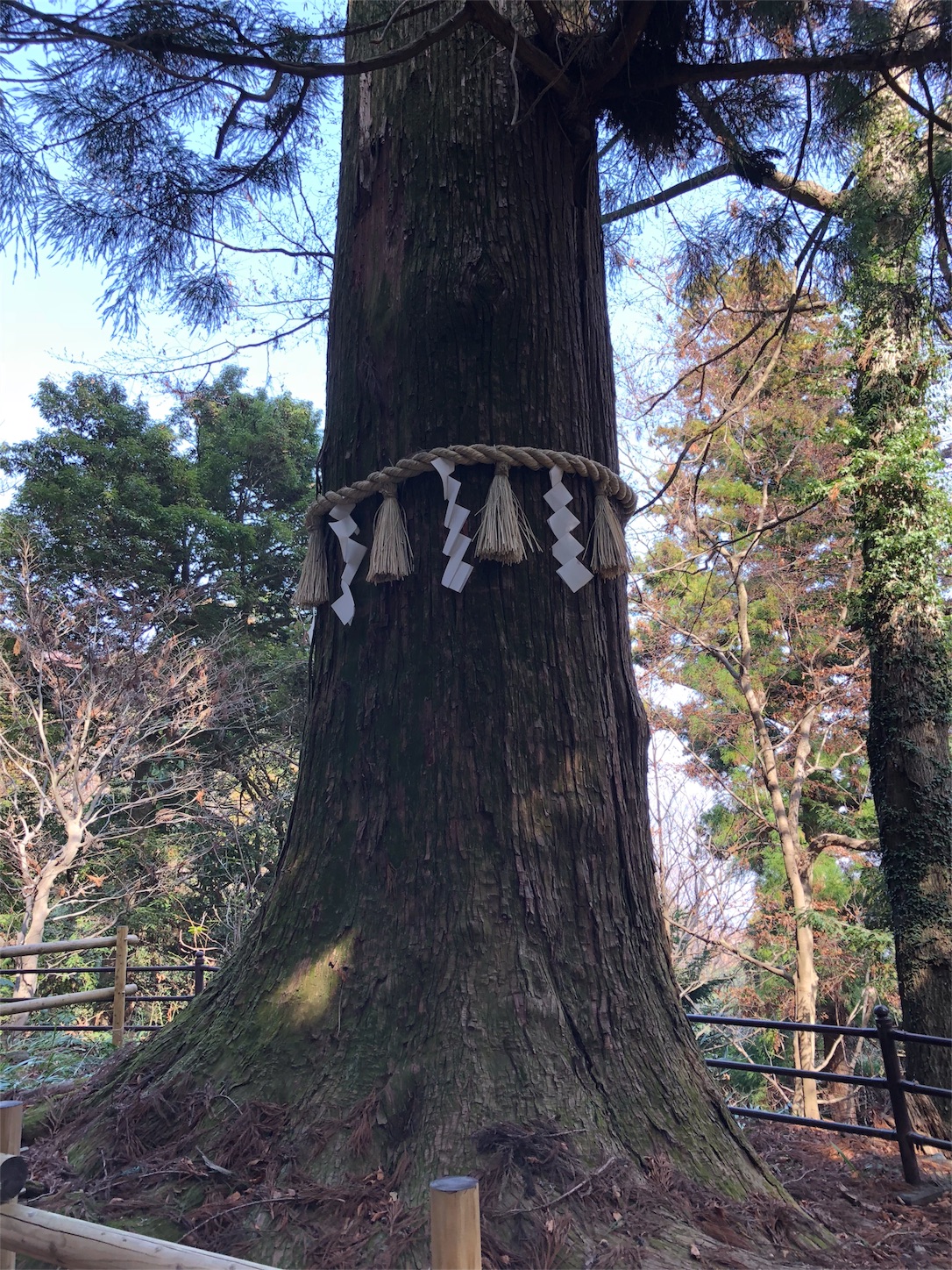 f:id:jeanrenon:20180401201451j:image f:id:jeanrenon:20180401201451j:image