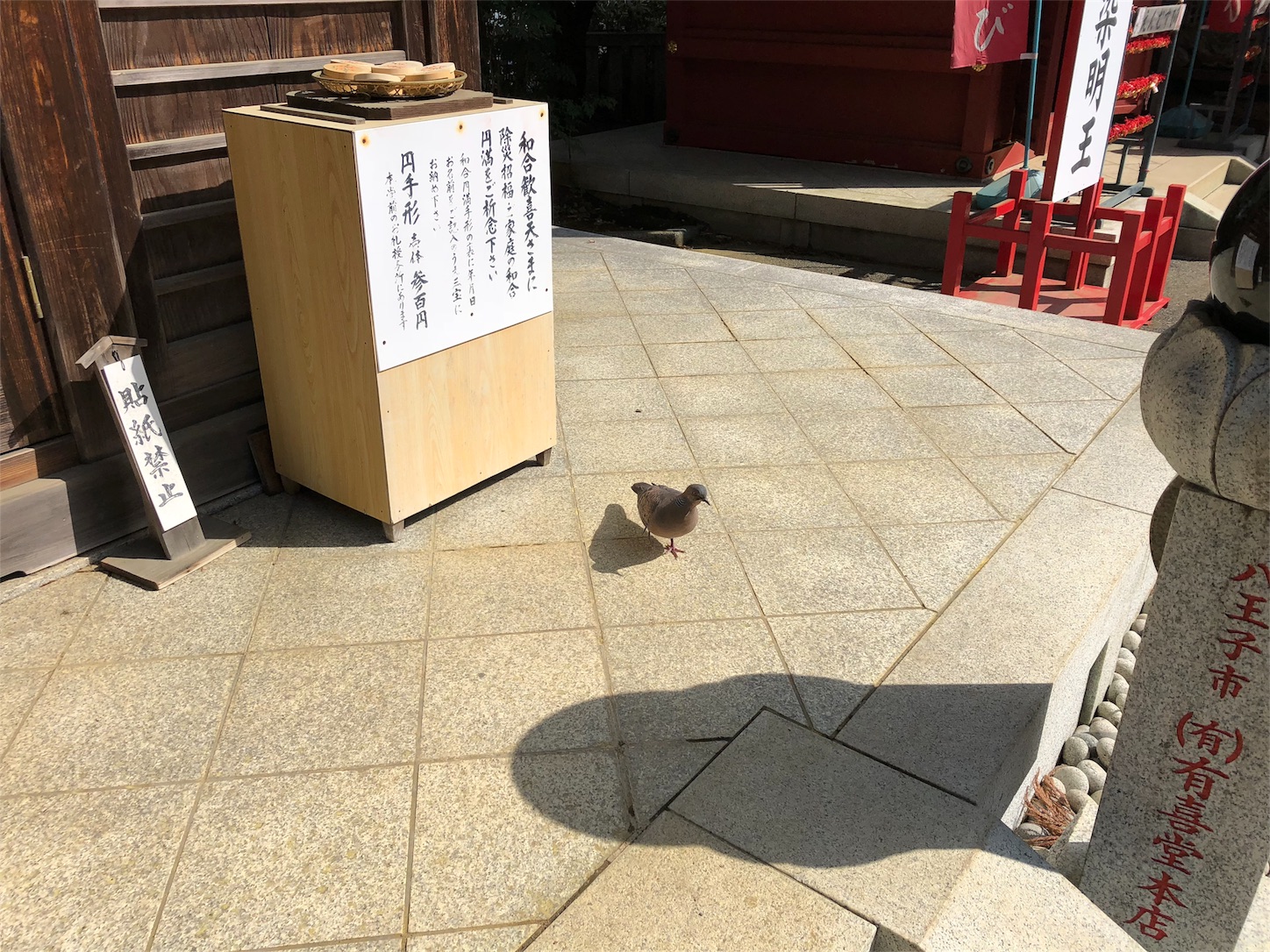 f:id:jeanrenon:20180401204103j:image