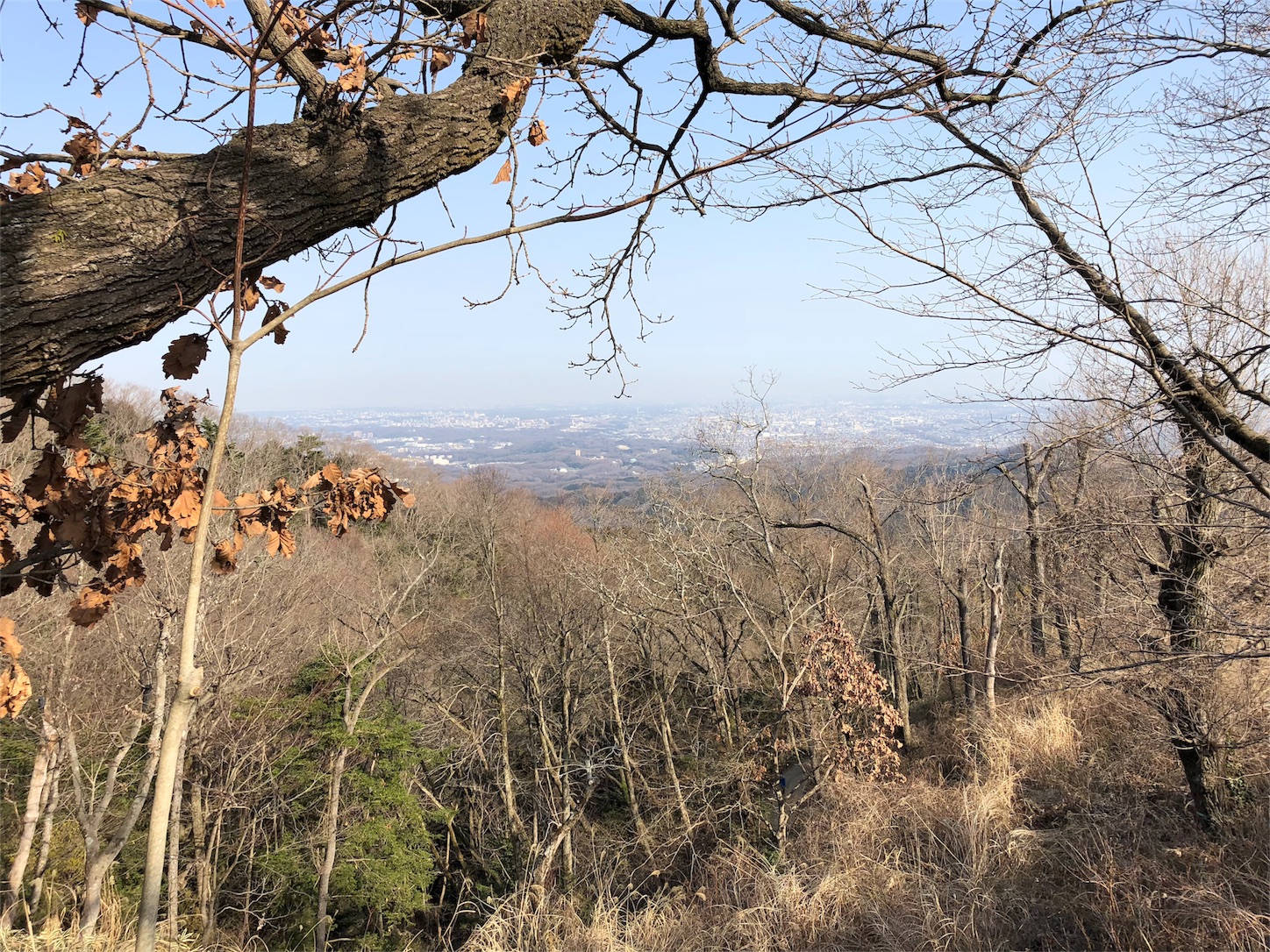 f:id:jeanrenon:20180401205358j:image