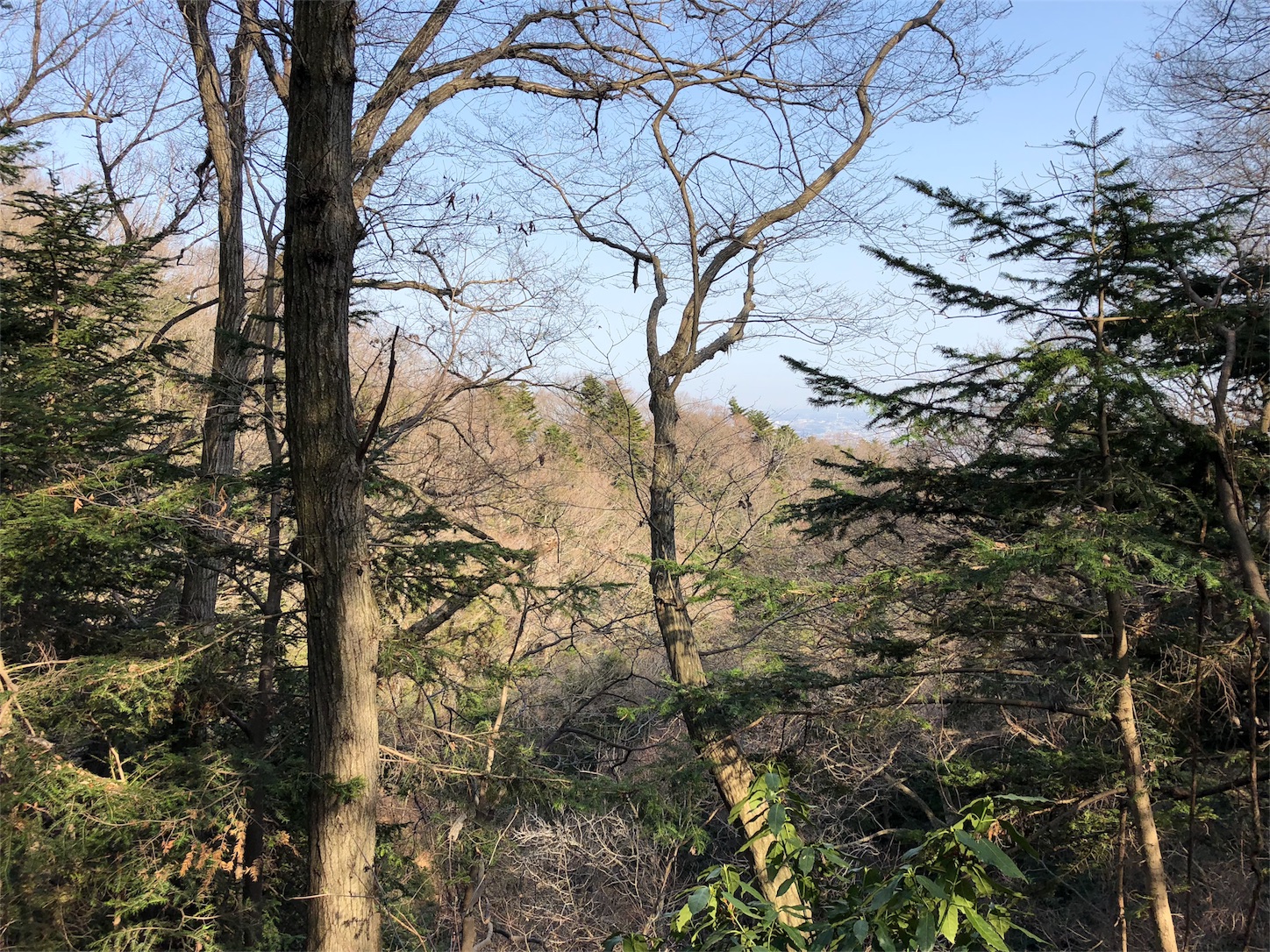 f:id:jeanrenon:20180401205517j:image