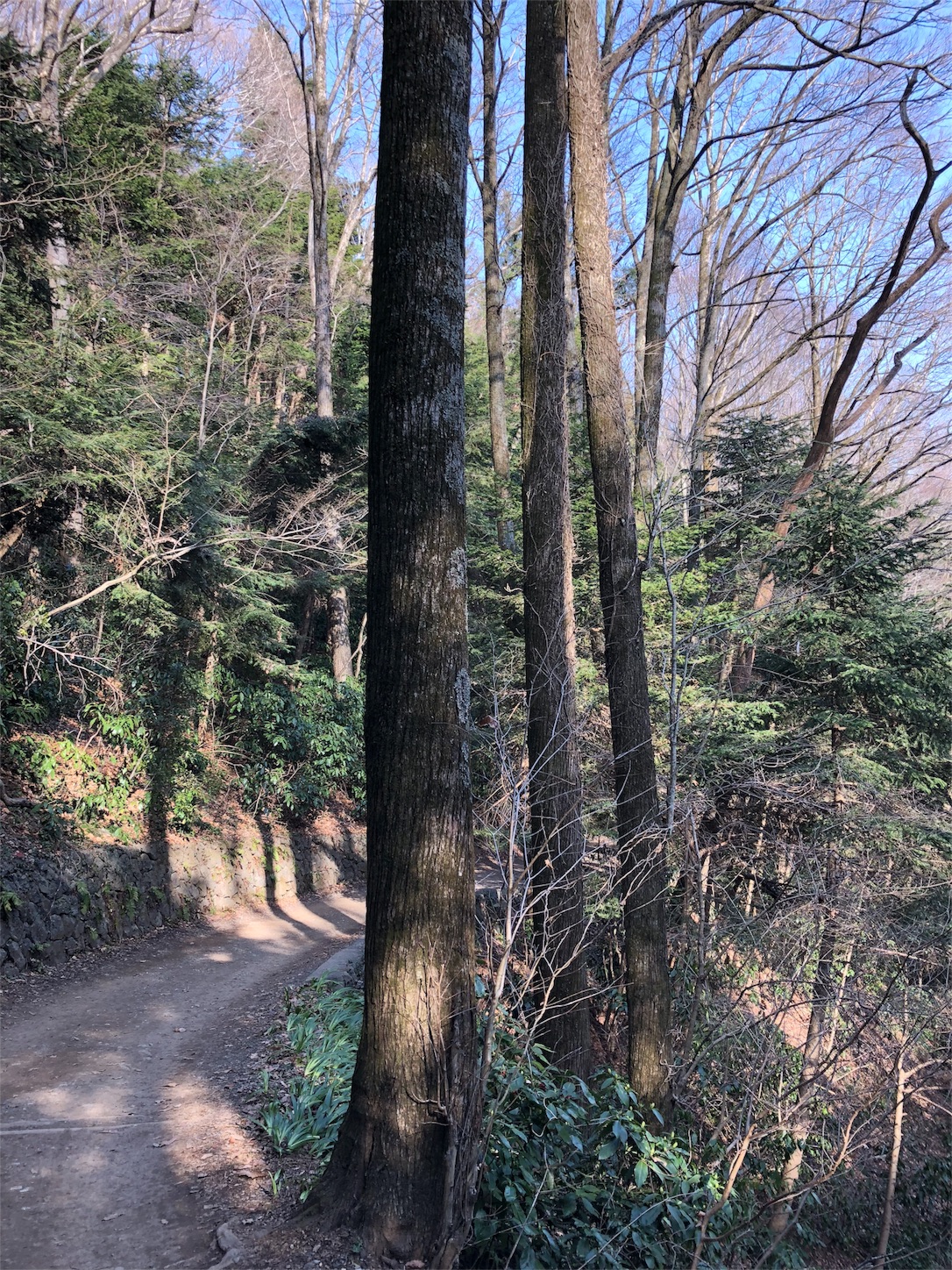 f:id:jeanrenon:20180401205636j:image
