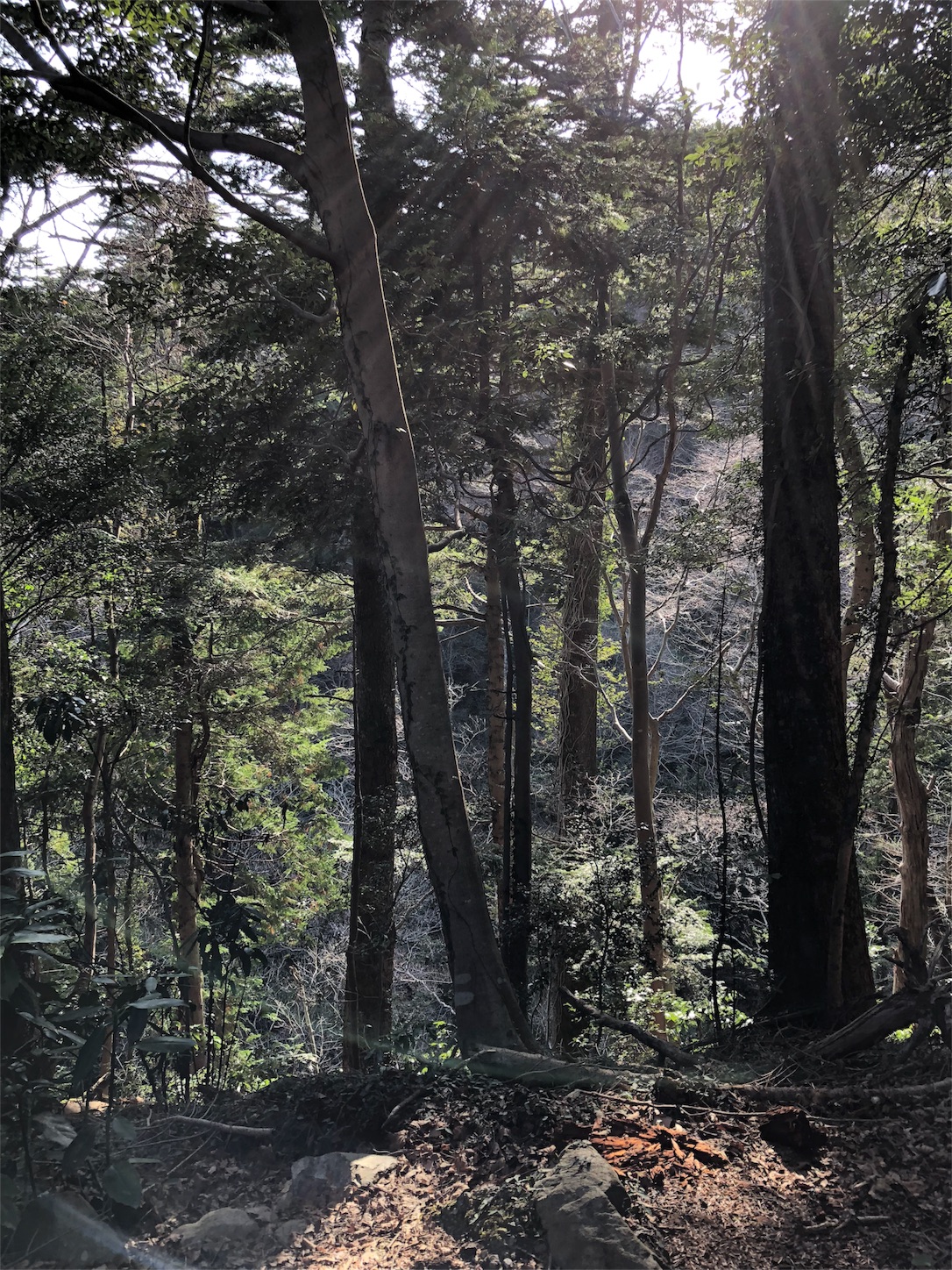 f:id:jeanrenon:20180401205814j:image