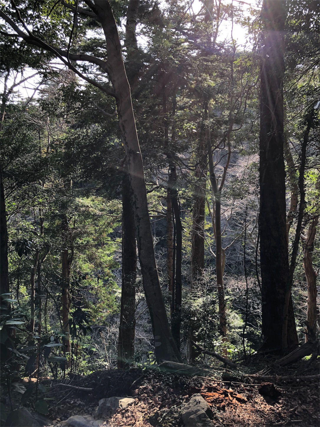 f:id:jeanrenon:20180401205905j:image
