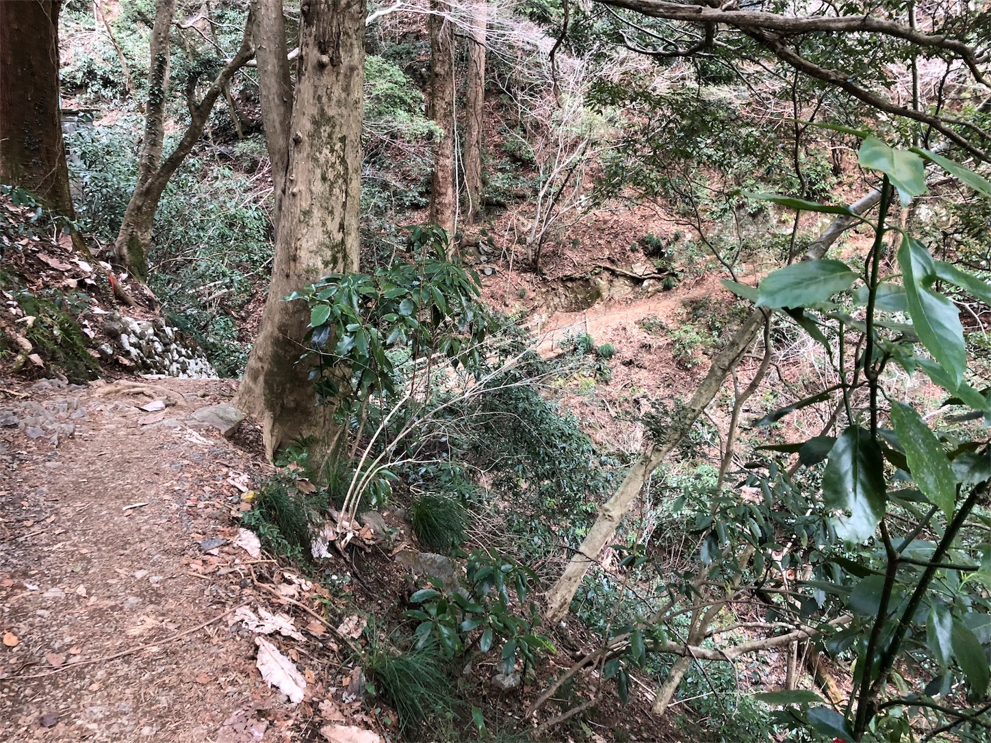 f:id:jeanrenon:20180401205936j:image