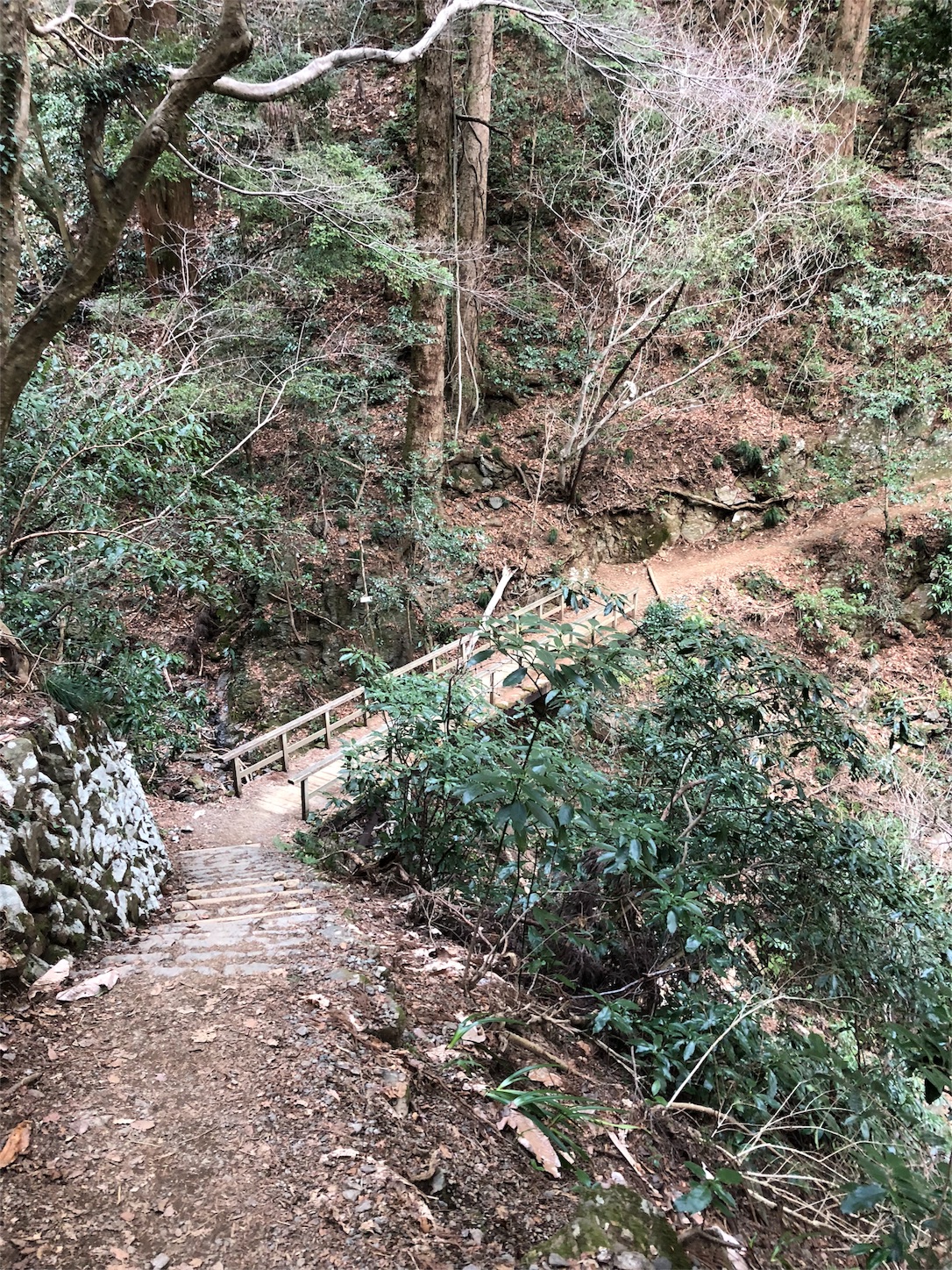 f:id:jeanrenon:20180401210004j:image