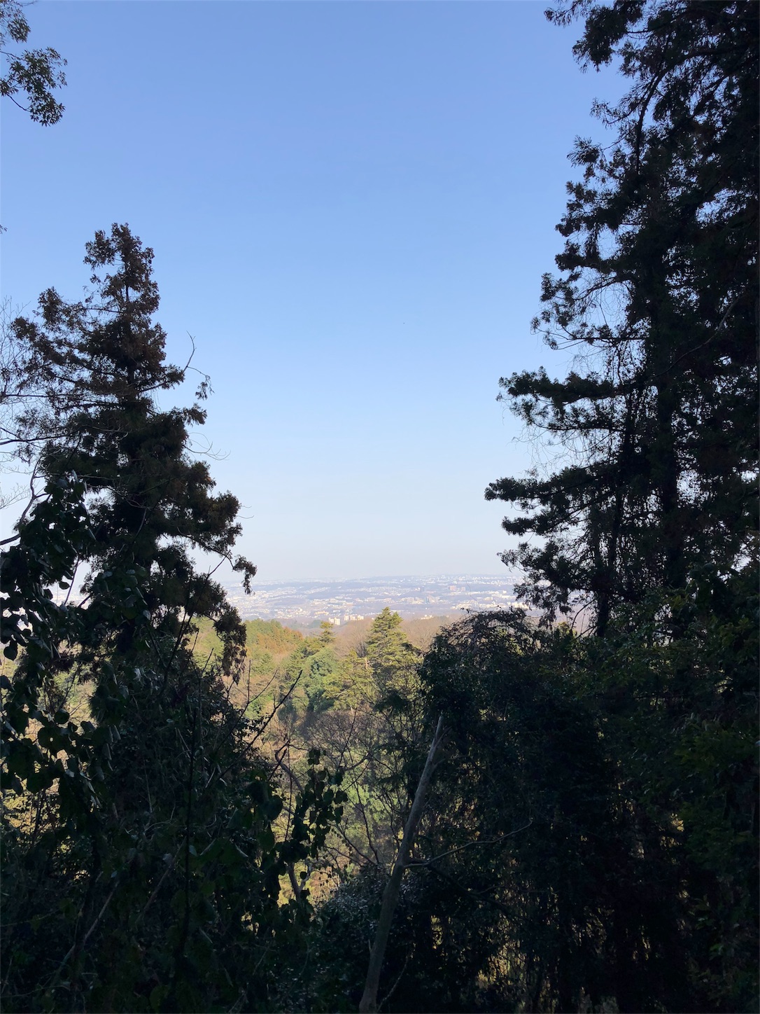f:id:jeanrenon:20180401210146j:image