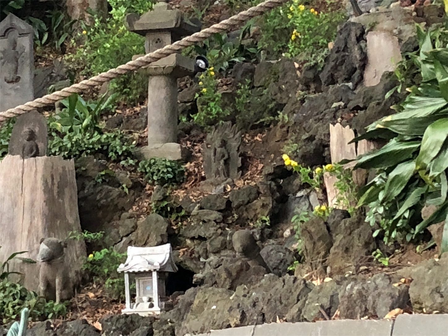 f:id:jeanrenon:20180403203456j:image