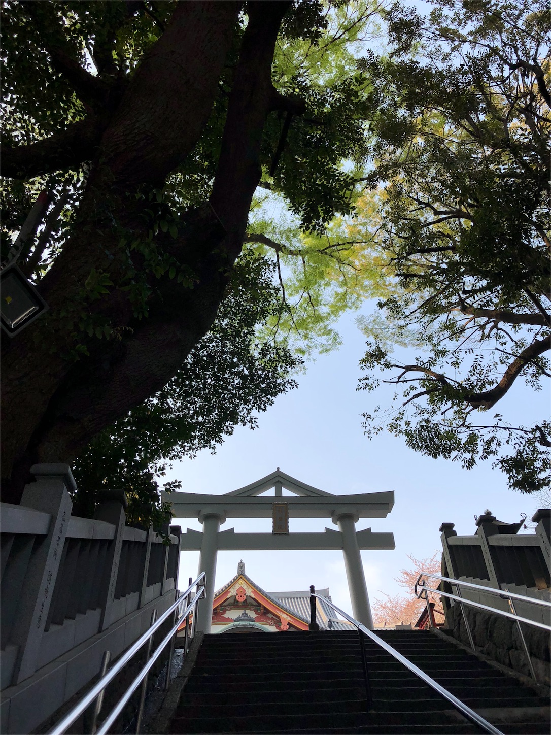 f:id:jeanrenon:20180403203517j:image