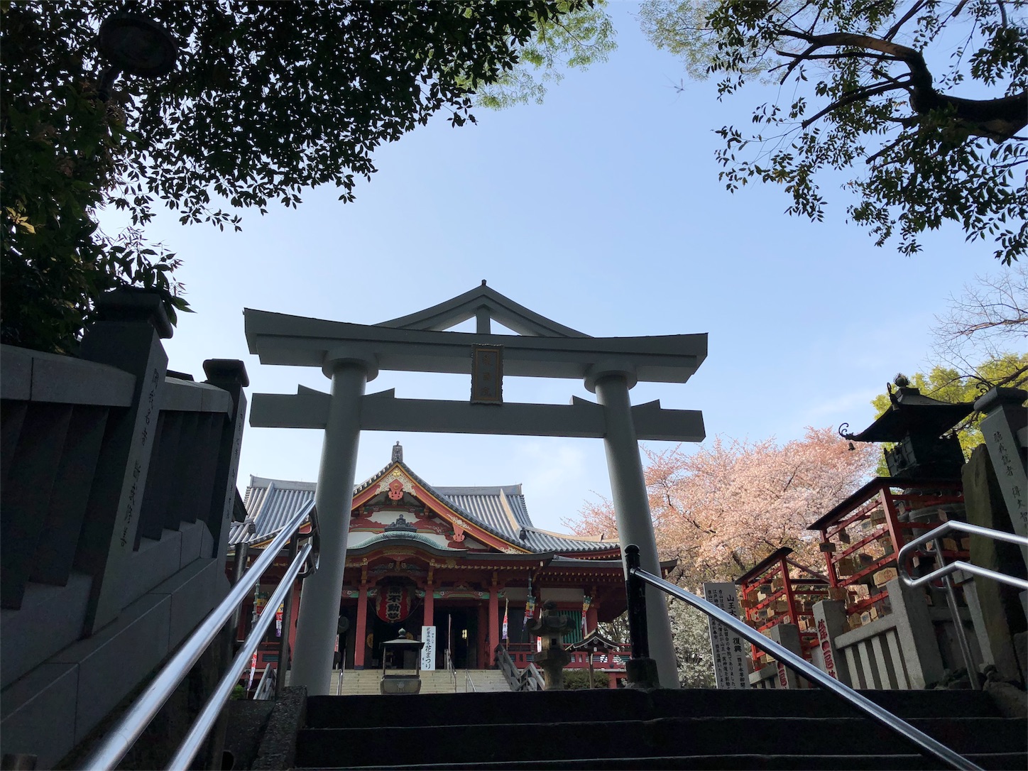 f:id:jeanrenon:20180403203538j:image