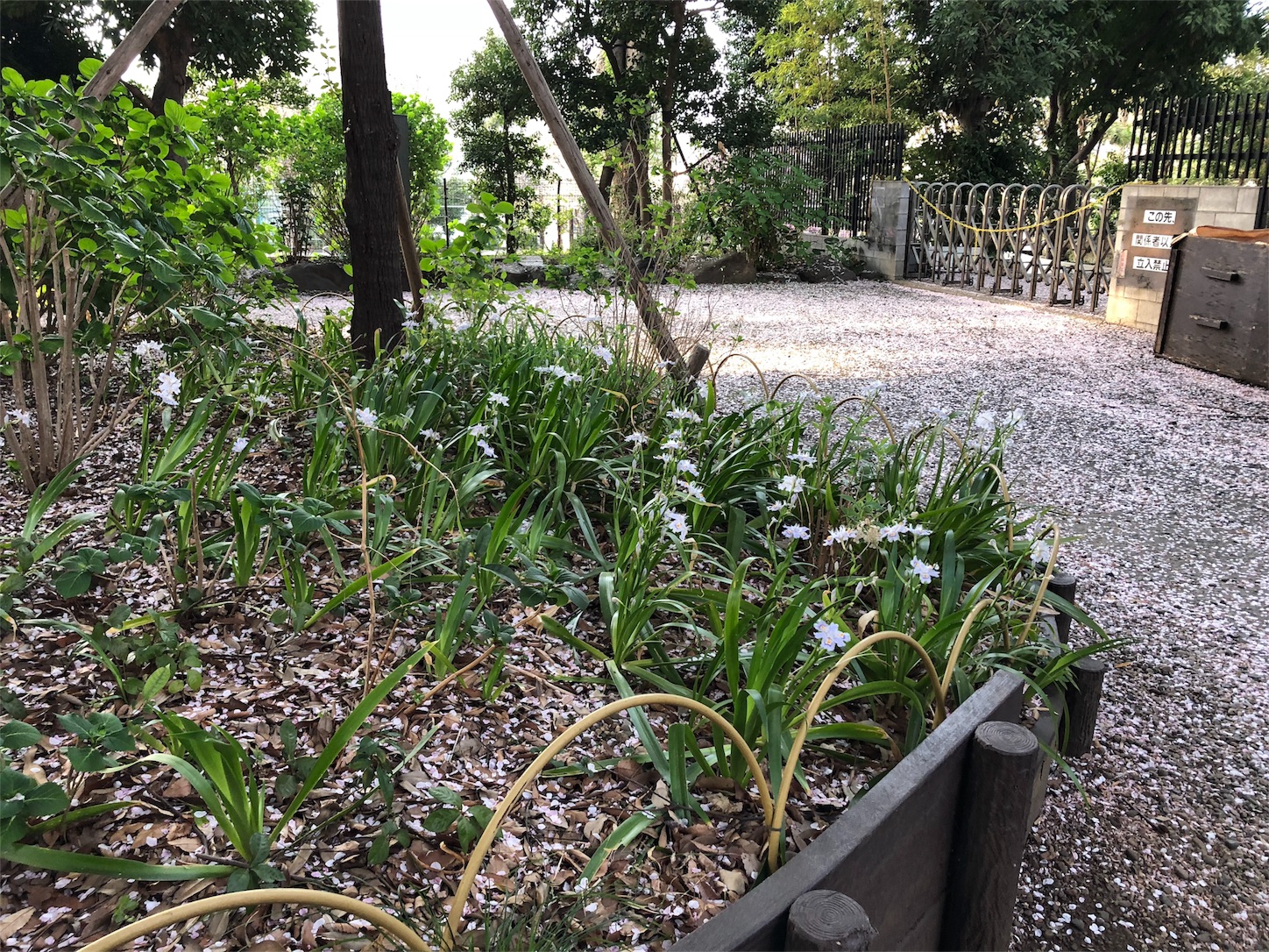 f:id:jeanrenon:20180403203622j:image