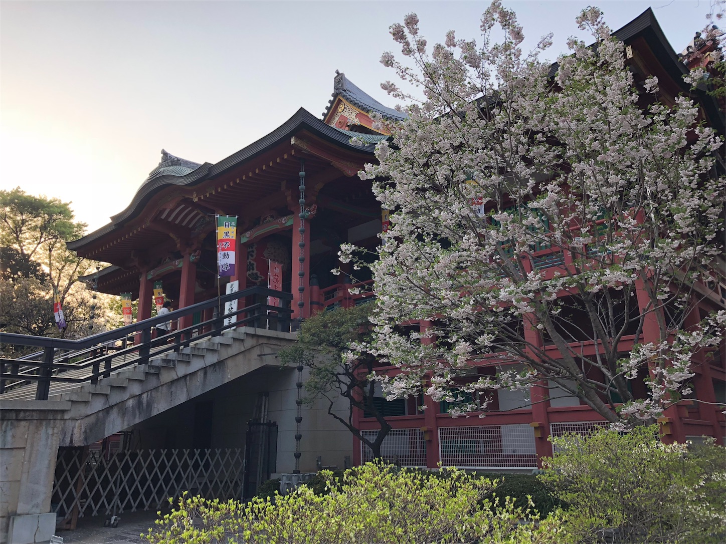 f:id:jeanrenon:20180403203901j:image