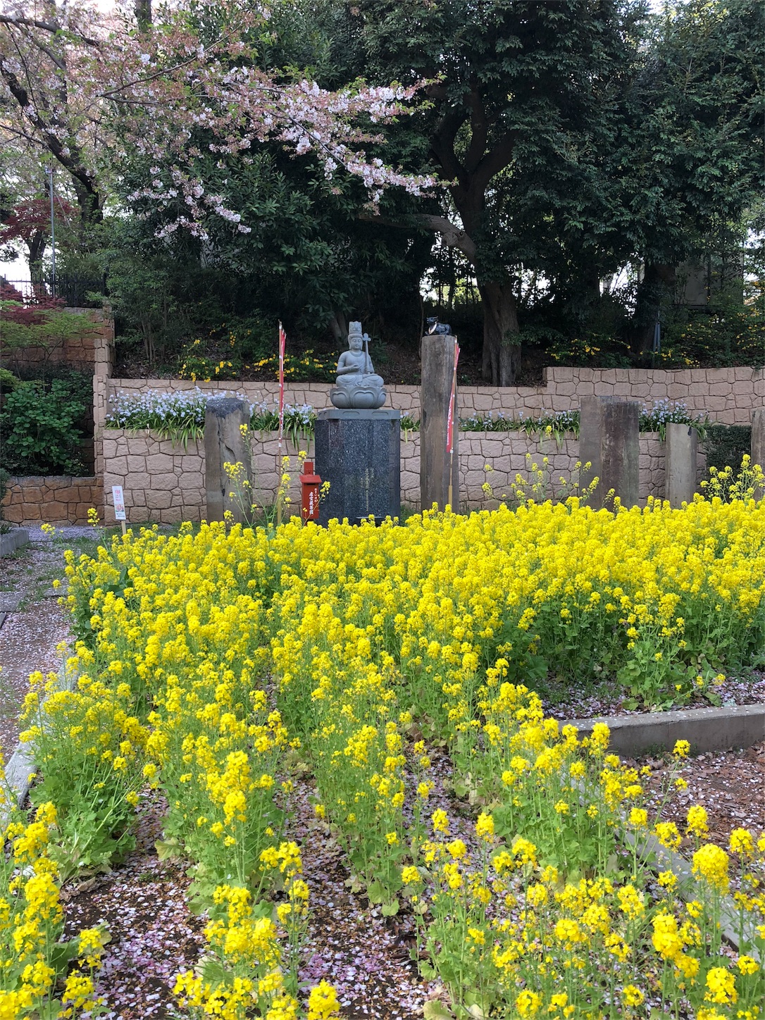 f:id:jeanrenon:20180403203914j:image