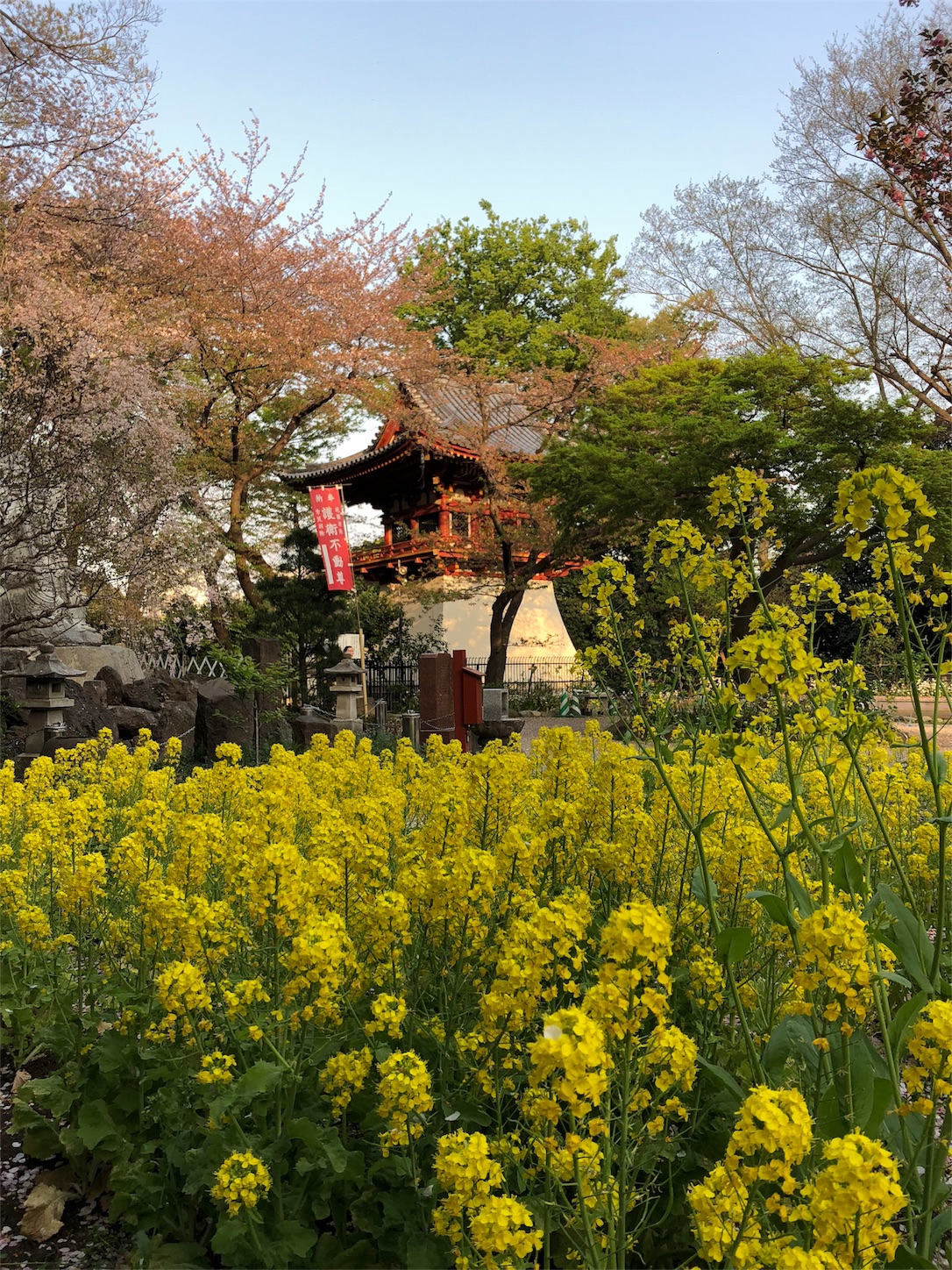 f:id:jeanrenon:20180403204025j:image