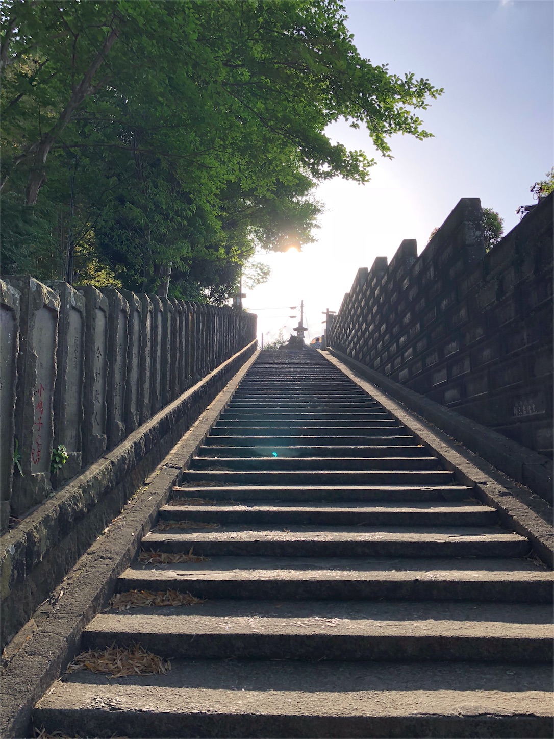 f:id:jeanrenon:20180429214439j:image