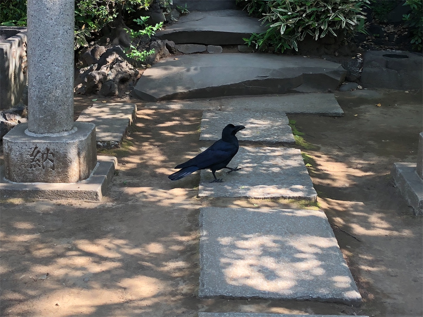 f:id:jeanrenon:20180507012238j:image