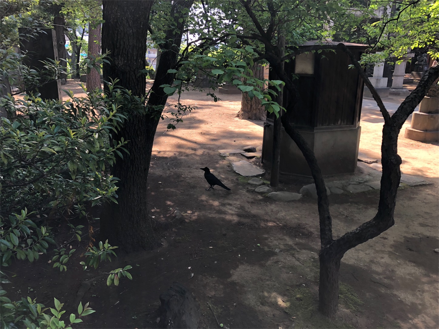 f:id:jeanrenon:20180507012813j:image