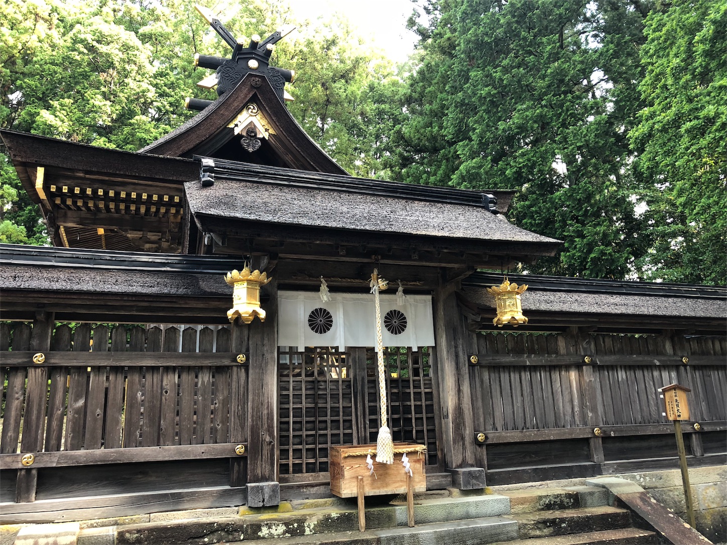 f:id:jeanrenon:20180611212214j:image f:id:jeanrenon:20180611212214j:image