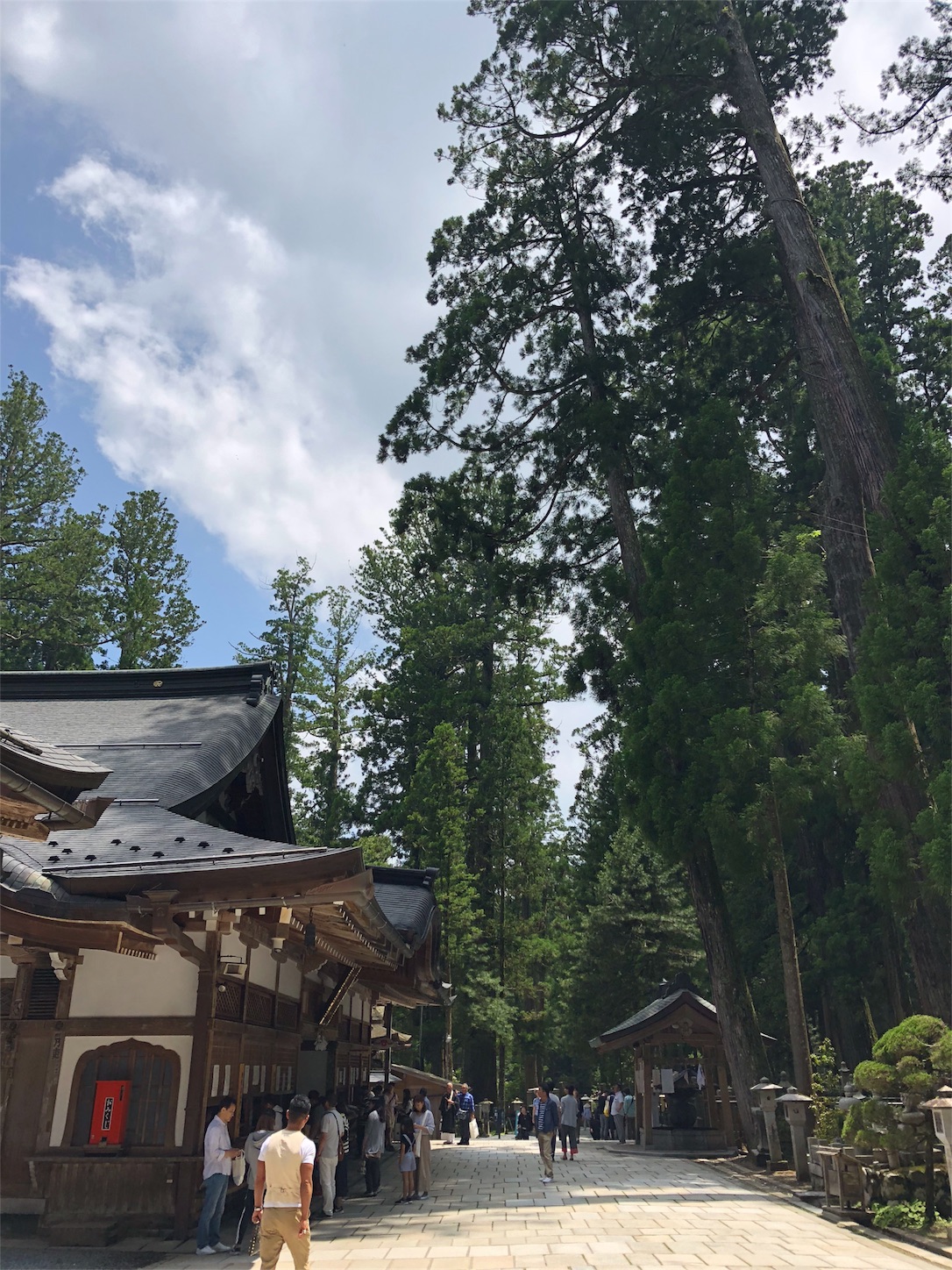 f:id:jeanrenon:20180611215733j:image