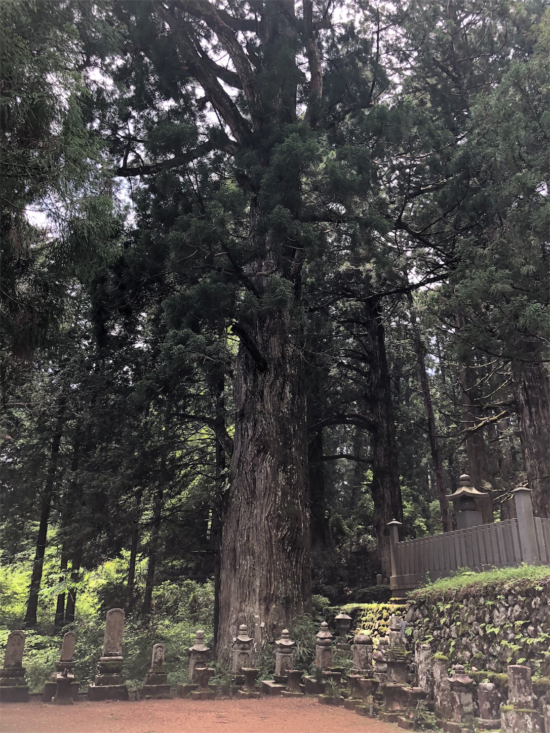 f:id:jeanrenon:20180611220029j:image