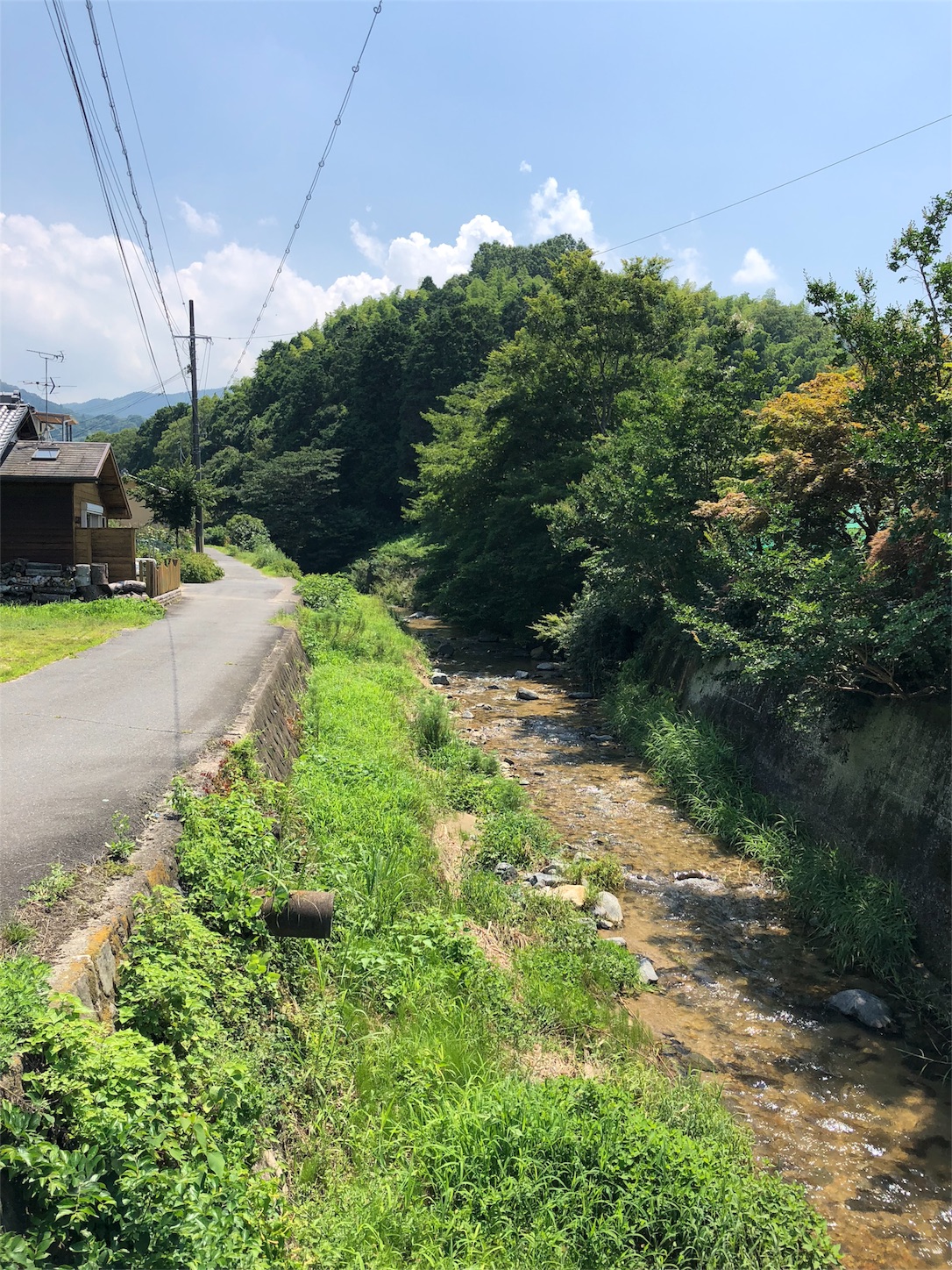 f:id:jeanrenon:20180717193313j:image
