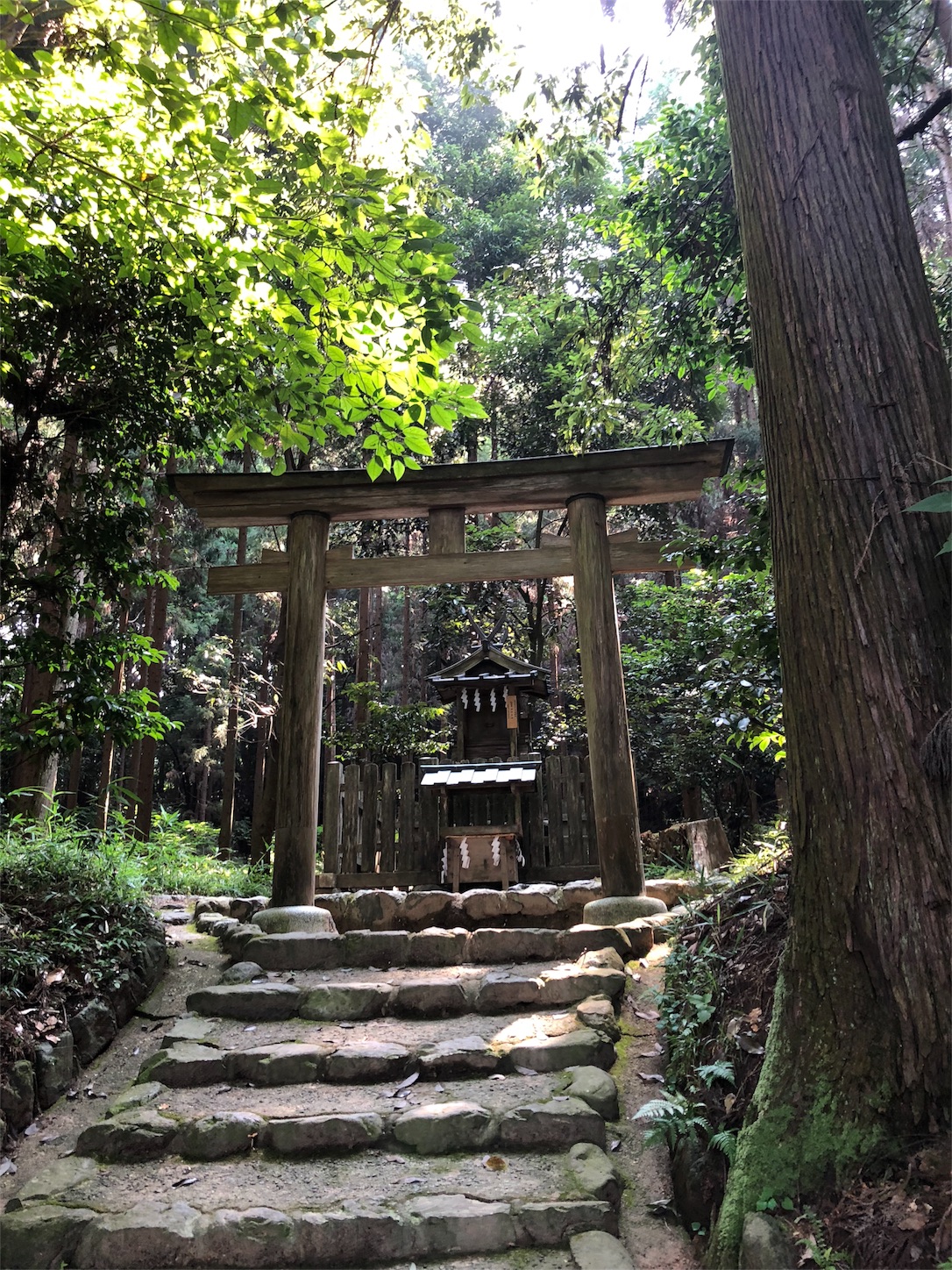 f:id:jeanrenon:20180717193340j:image