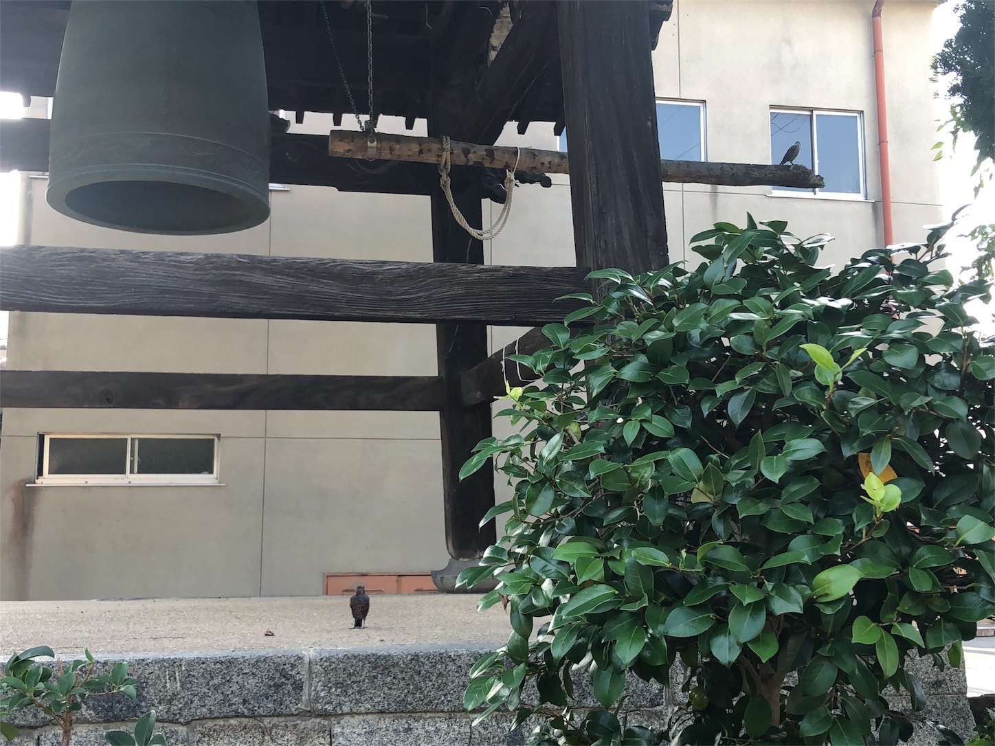 f:id:jeanrenon:20180717193349j:image