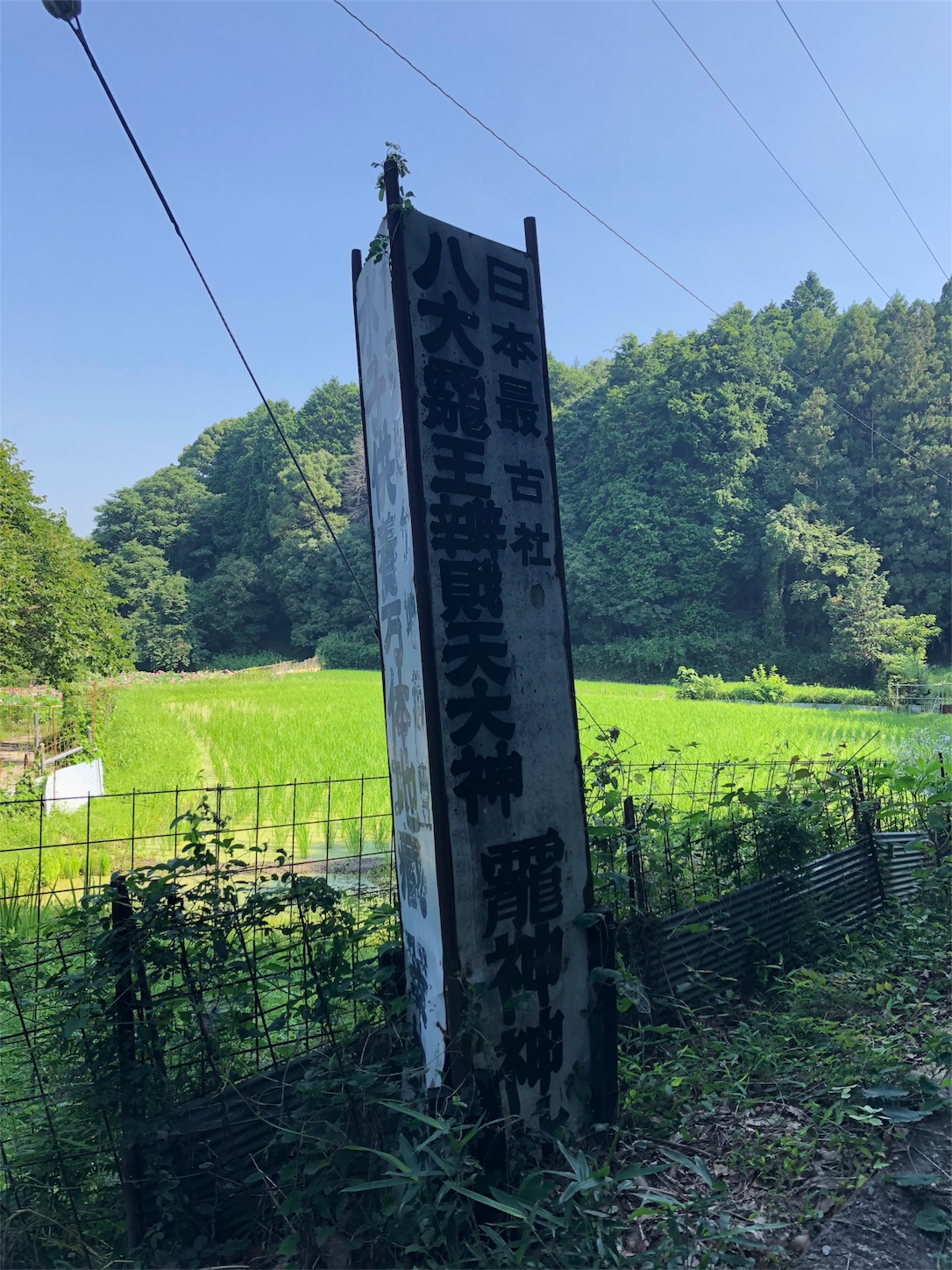f:id:jeanrenon:20180717193405j:image