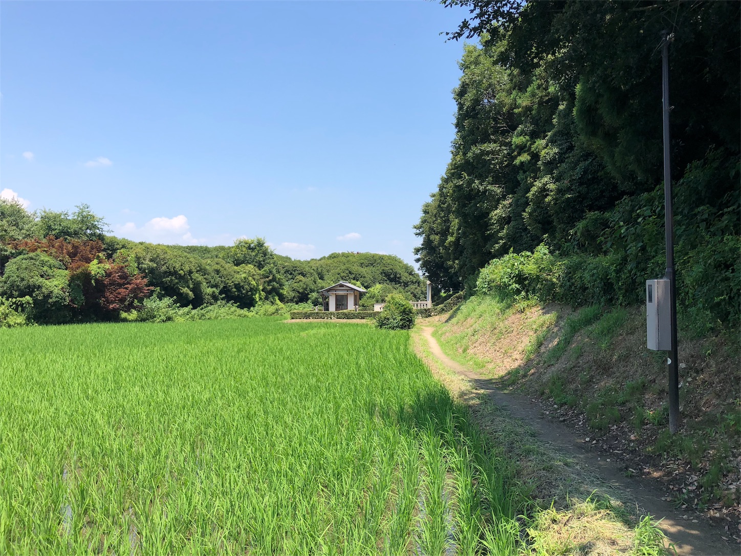 f:id:jeanrenon:20180717202433j:image